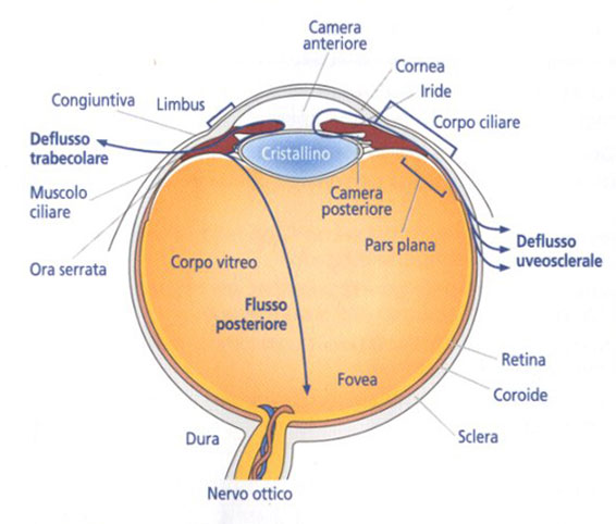 glaucoma malattia