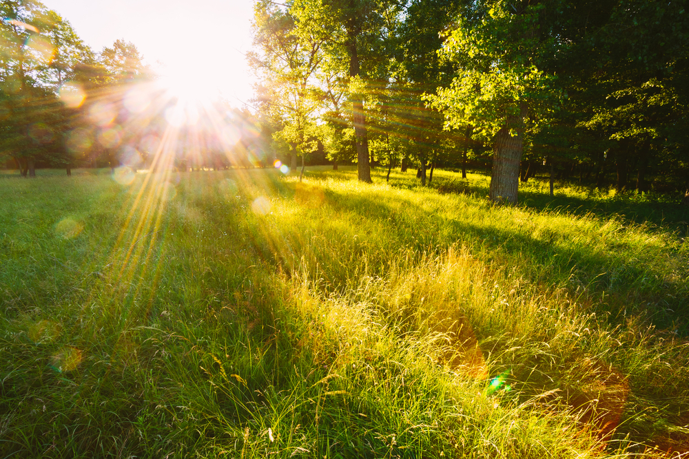 La Luce del Sole e gli Effetti sull'Occhio