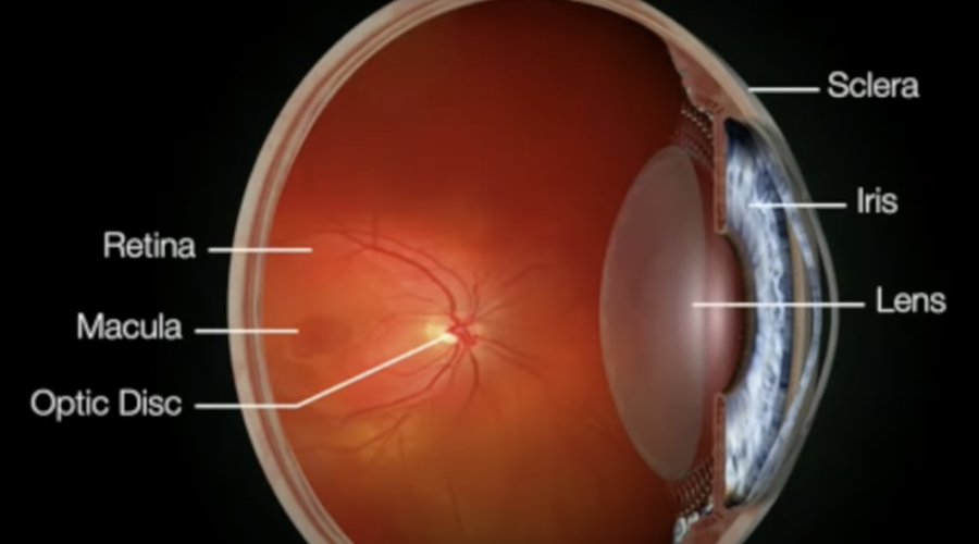 112RT – Retinal Rejuvenation