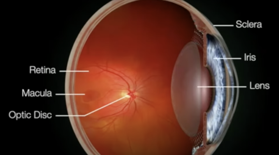 2RT – Retinal Rejuvenation