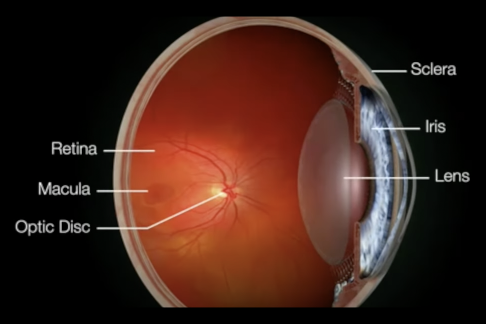 2RT – Retinal Rejuvenation