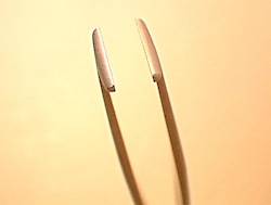pinza di orione pinza di orione